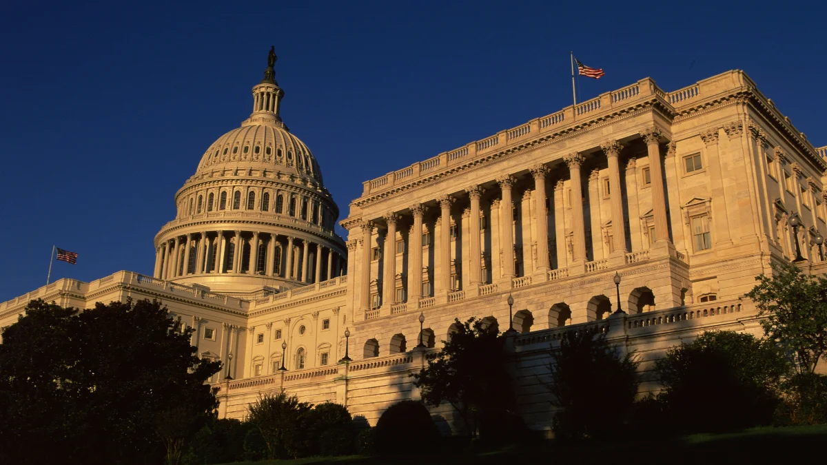 The House of Representatives and the Senate, explained.