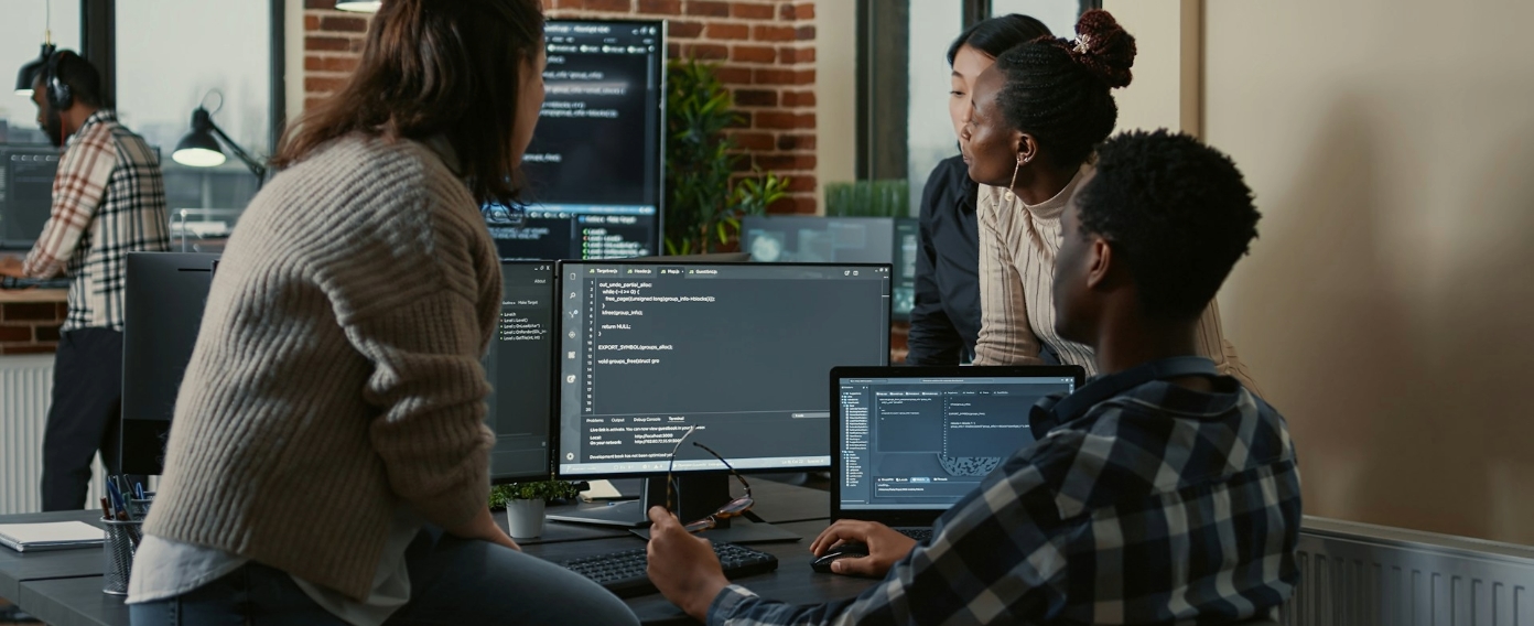 software development