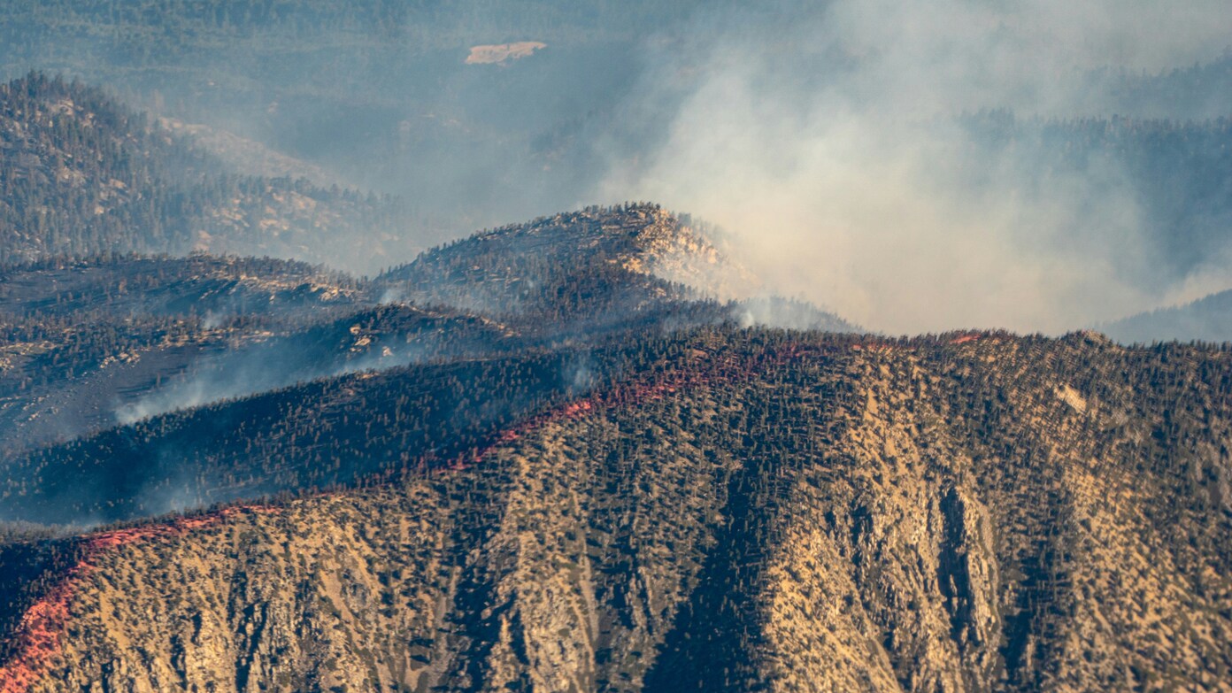 What happened in the Palisades wildfire in California in January 2025, what caused the fires and how many people died?