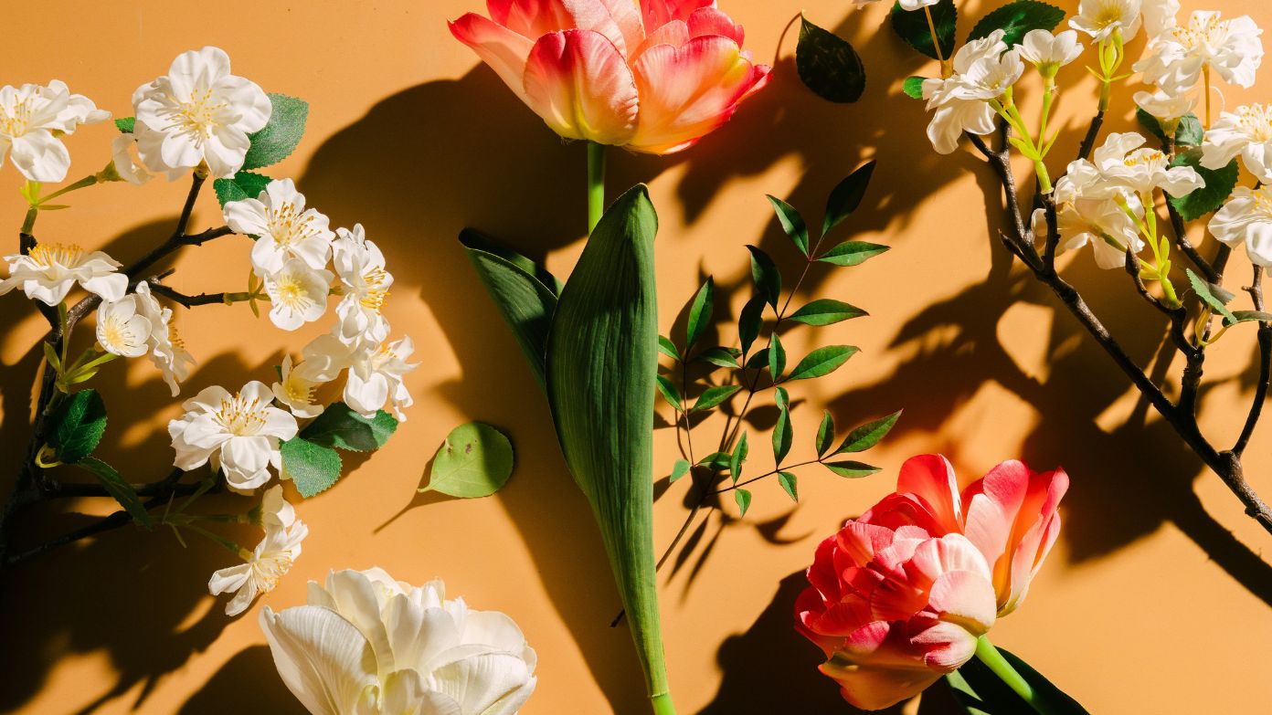 How new tariffs are reshaping the cost and availability of Mother's Day flowers