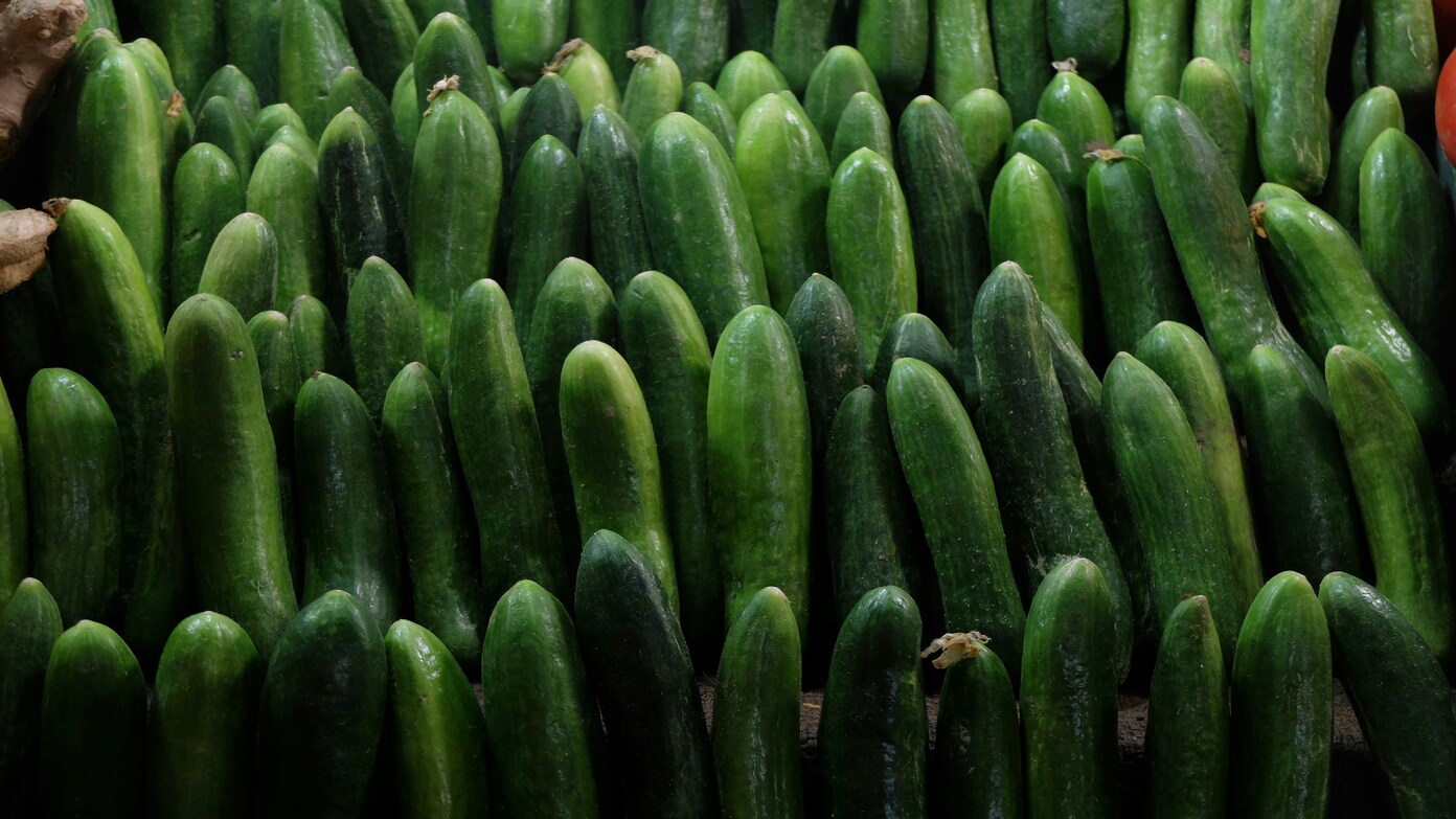  Salmonella risk alert over subs, wraps and paninis as part of wider cucumber contamination scare