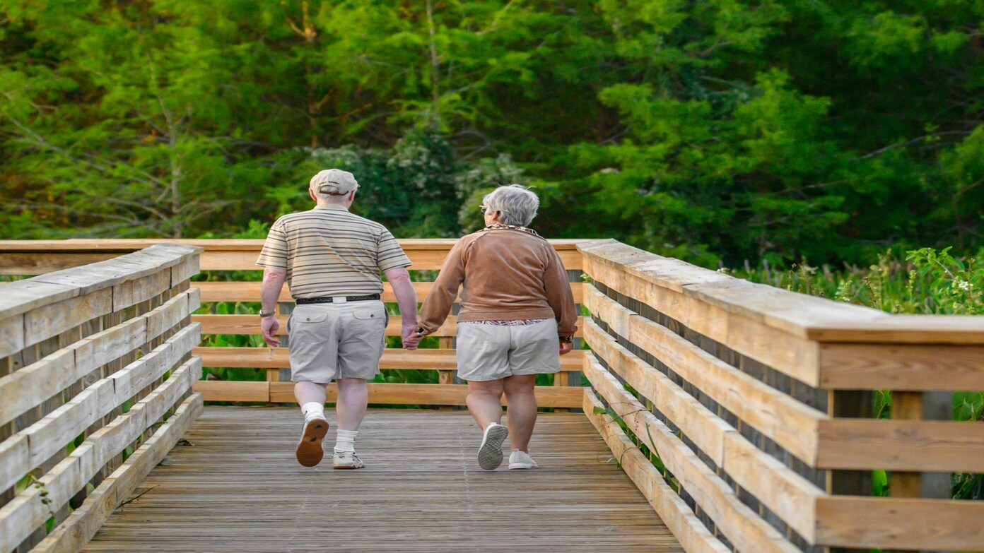 These are the seniors who can receive a stimulus check of up to $1,000 in May 2025 - Check the requirements to see if you can collect the PTRR