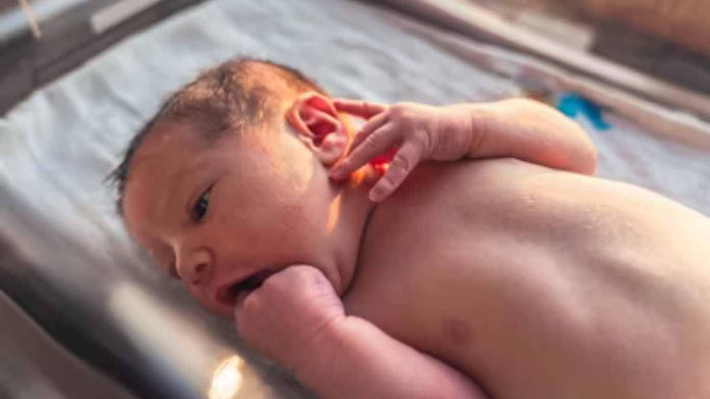Americans who can carry an extra $1,000 with 'Trump accounts' he wants to create to boost birthrate - Qualifications to be met in MAGA bill