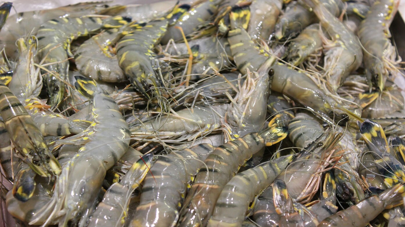 FDA warns of nationwide shrimp recall - These are the lots and products affected by the recall across the U.S.