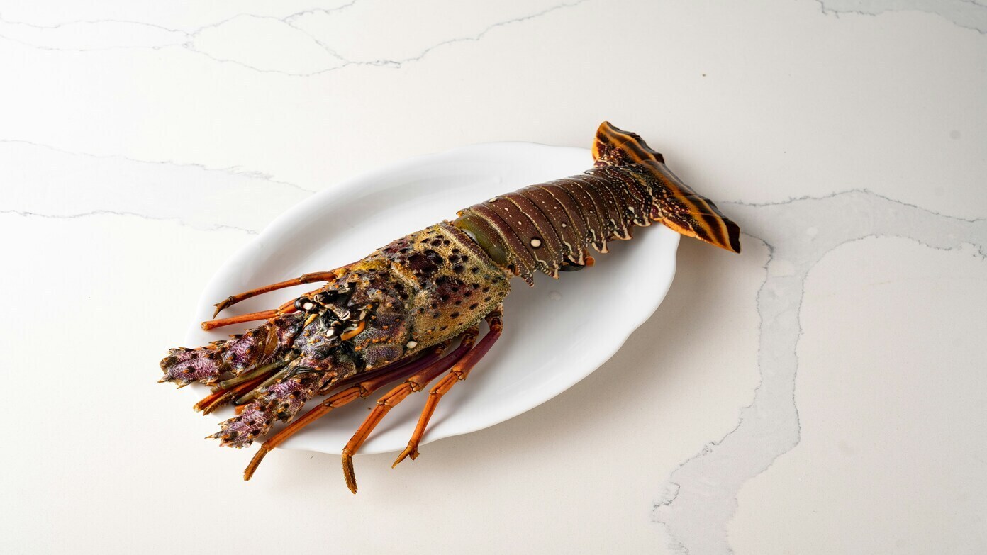 Good news for sea food lovers: iconic restaurant chain leaves bankruptcy