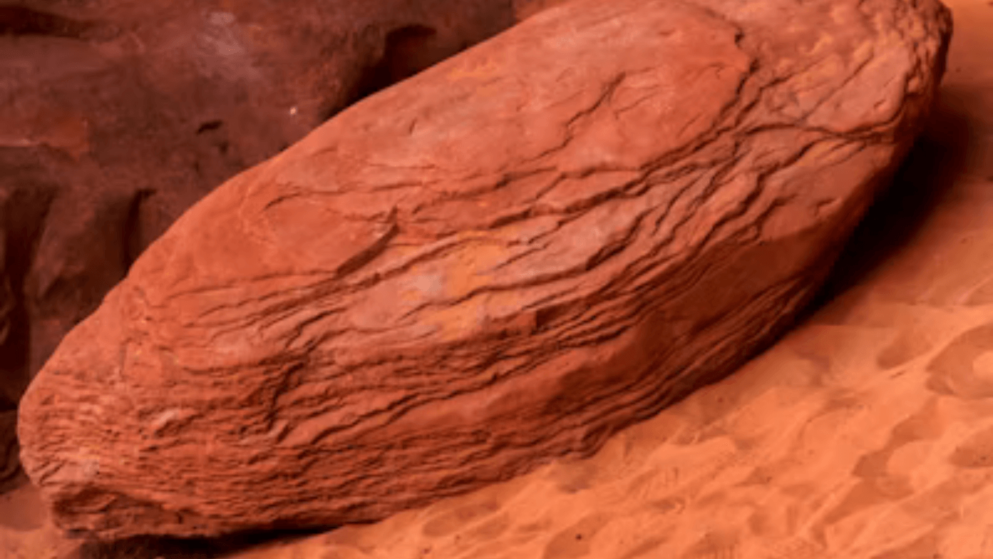 A man finds a rock in the Sahara and it turns out to be a much more valuable material from Mars - To be auctioned for $4 million at Sotheby's