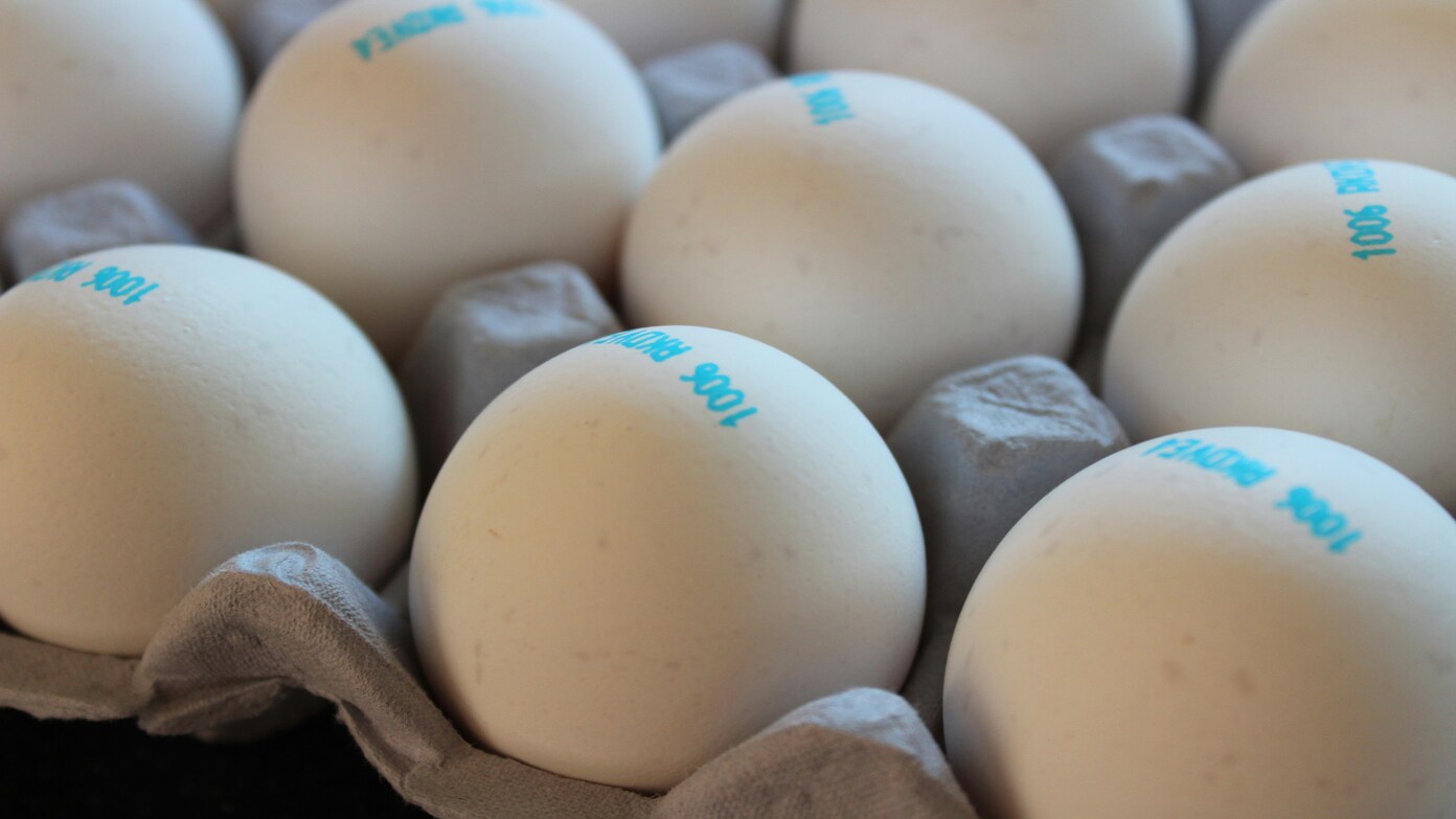 Country Eggs recalls free-range chicken products from California and Nevada following a salmonella outbreak - These are the affected batches and products