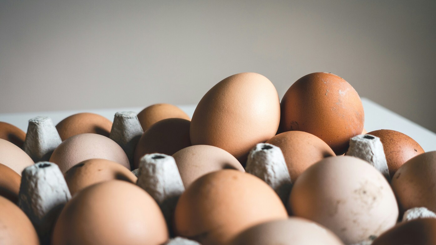 Nationwide egg recall: life-threatening salmonella outbreak hits 14 states