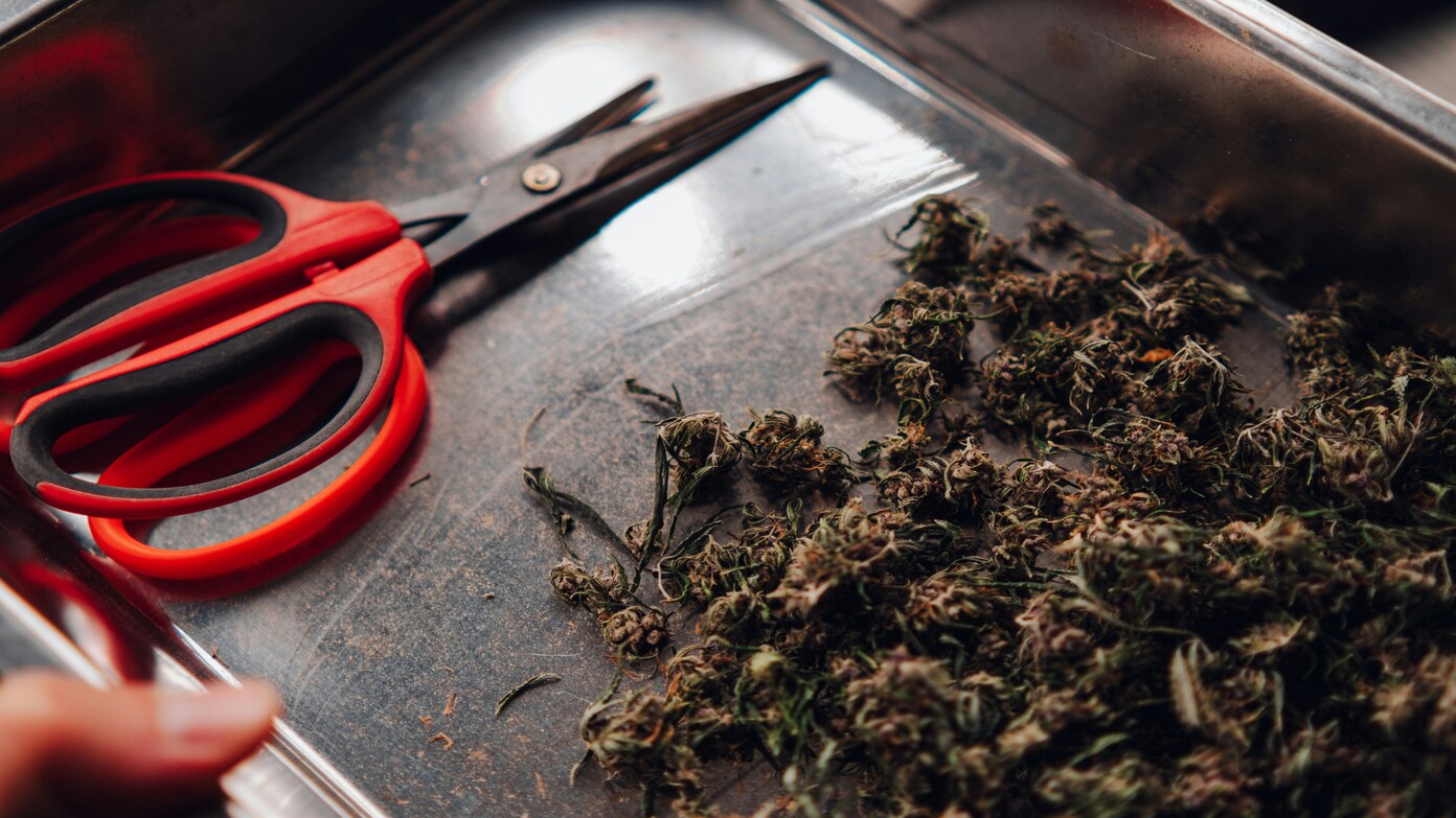 Marijuana recall in Colorado - These are the 30 dispensaries that have recalled infused joints and concentrates in the stateMarijuana recall in Colorado - These are the 30 dispensaries that have recalled infused joints and concentrates in the state