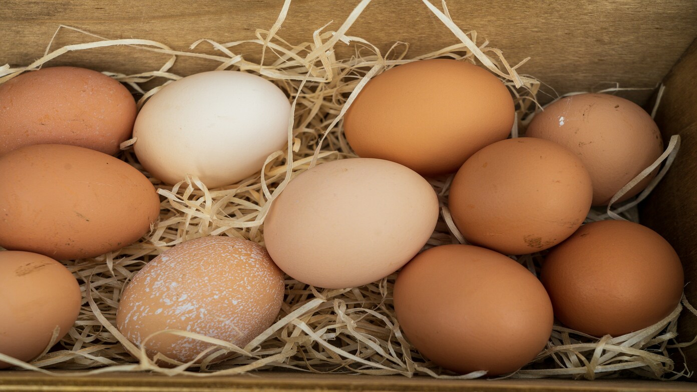 The egg recall has been expanded to include more brands - This is the new company that is recalling its 12-egg AA cartons in the US.